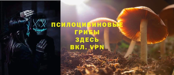 а пвп мука Абаза