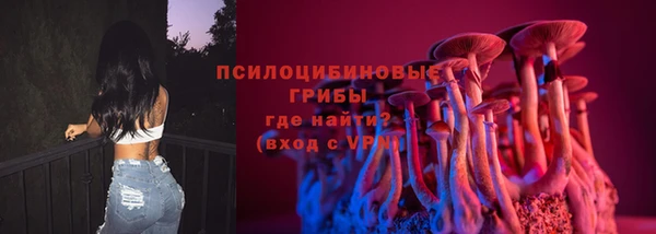 мескалин Надым